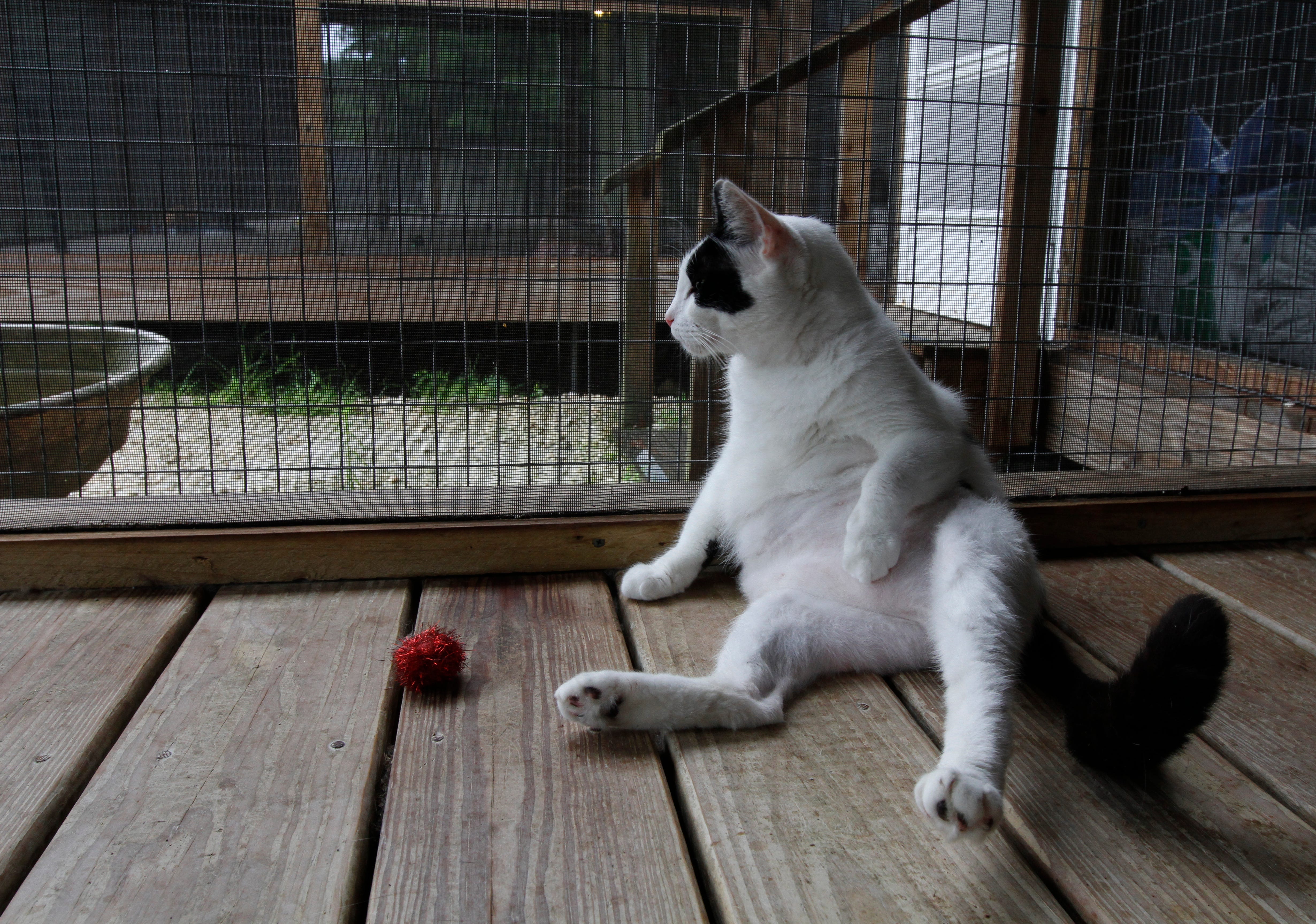 animal refuge center near me